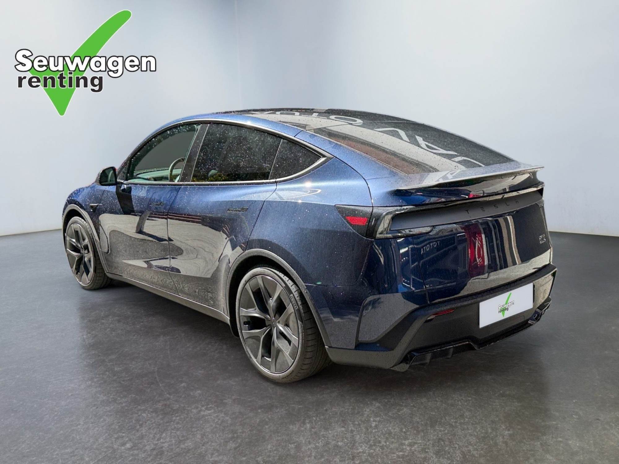 Tesla Model Y Performance 534 CV