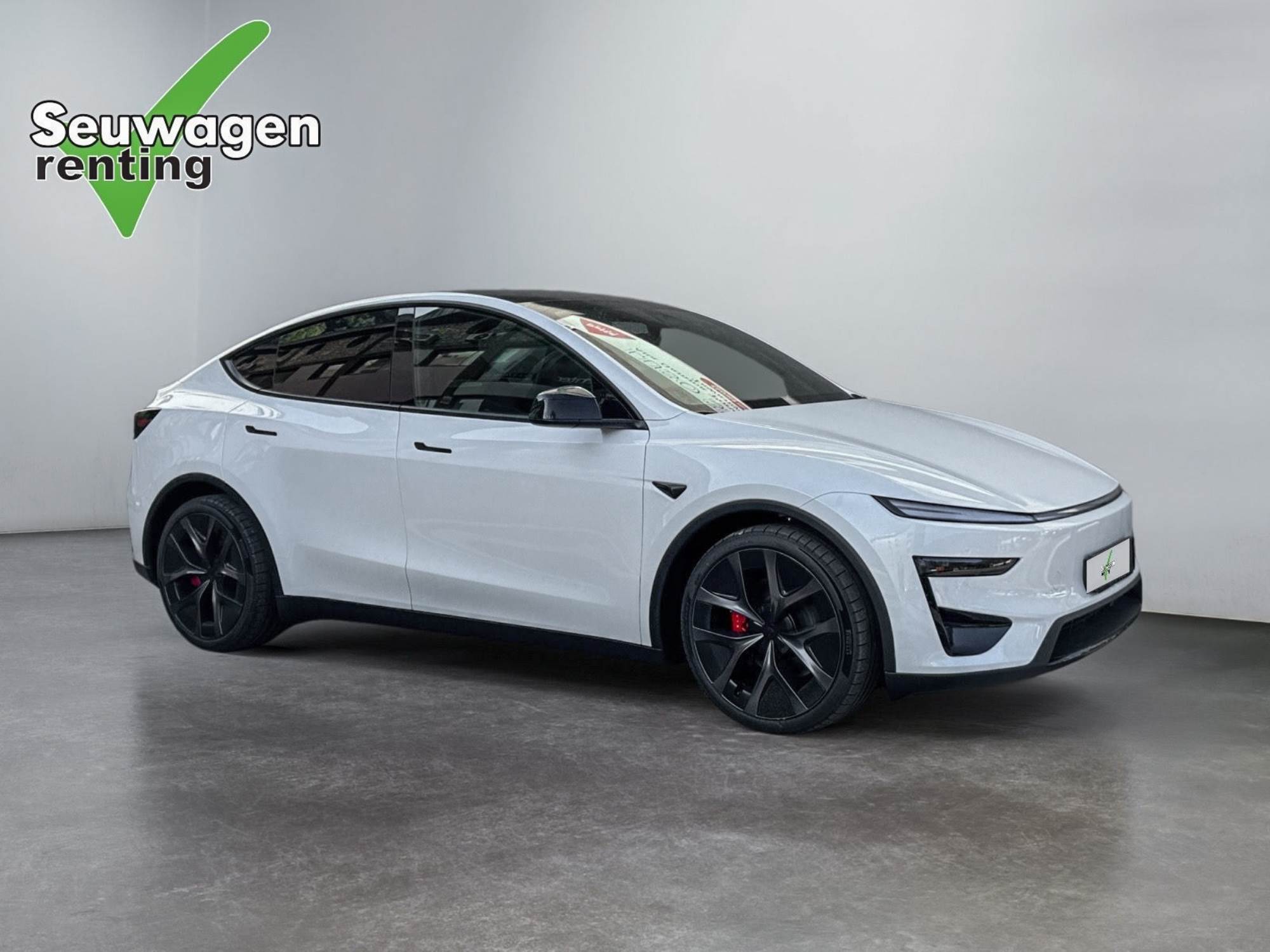 Tesla Model Y Performance 