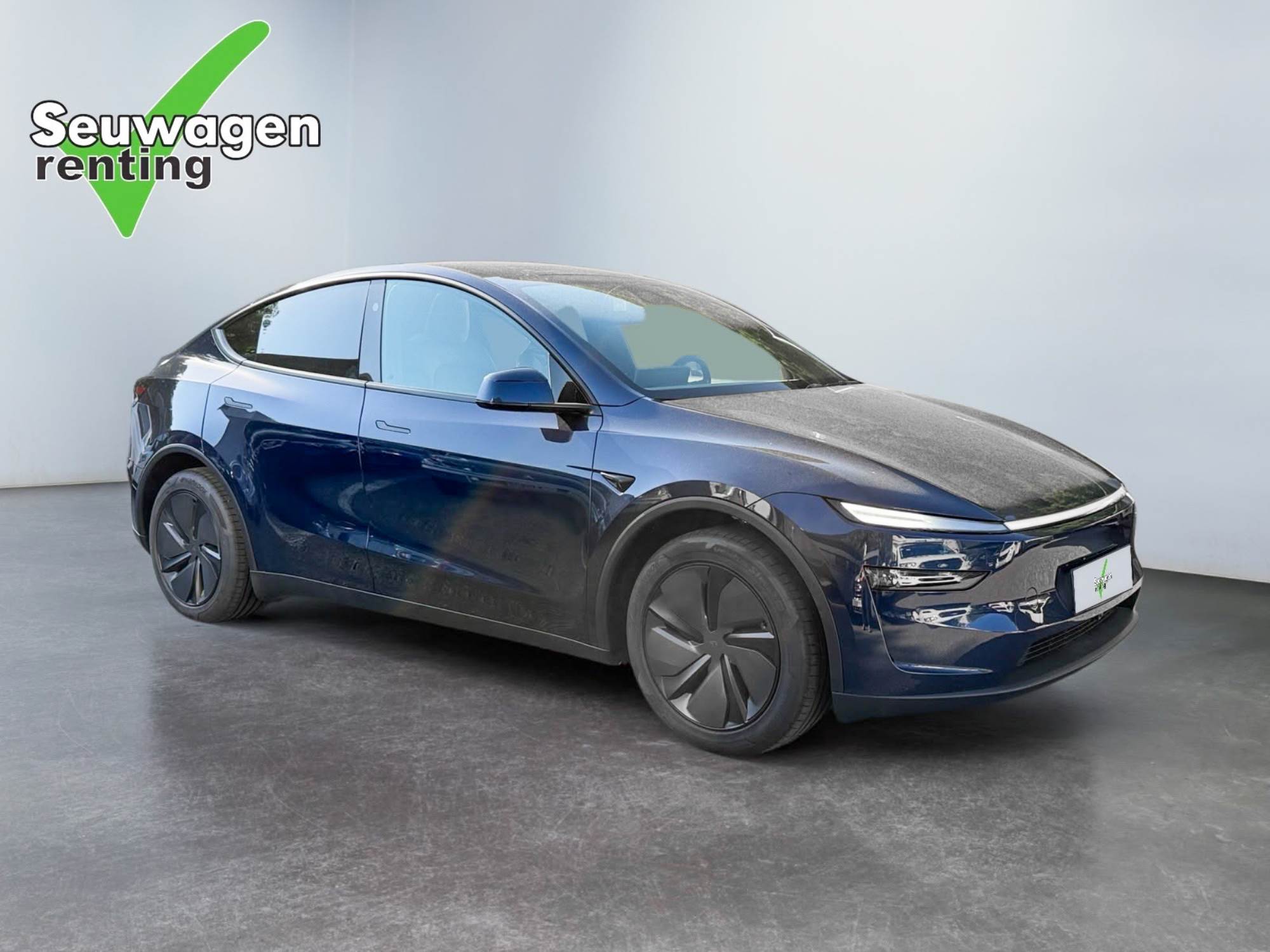 Tesla Model Y Dual Motor 497 CV