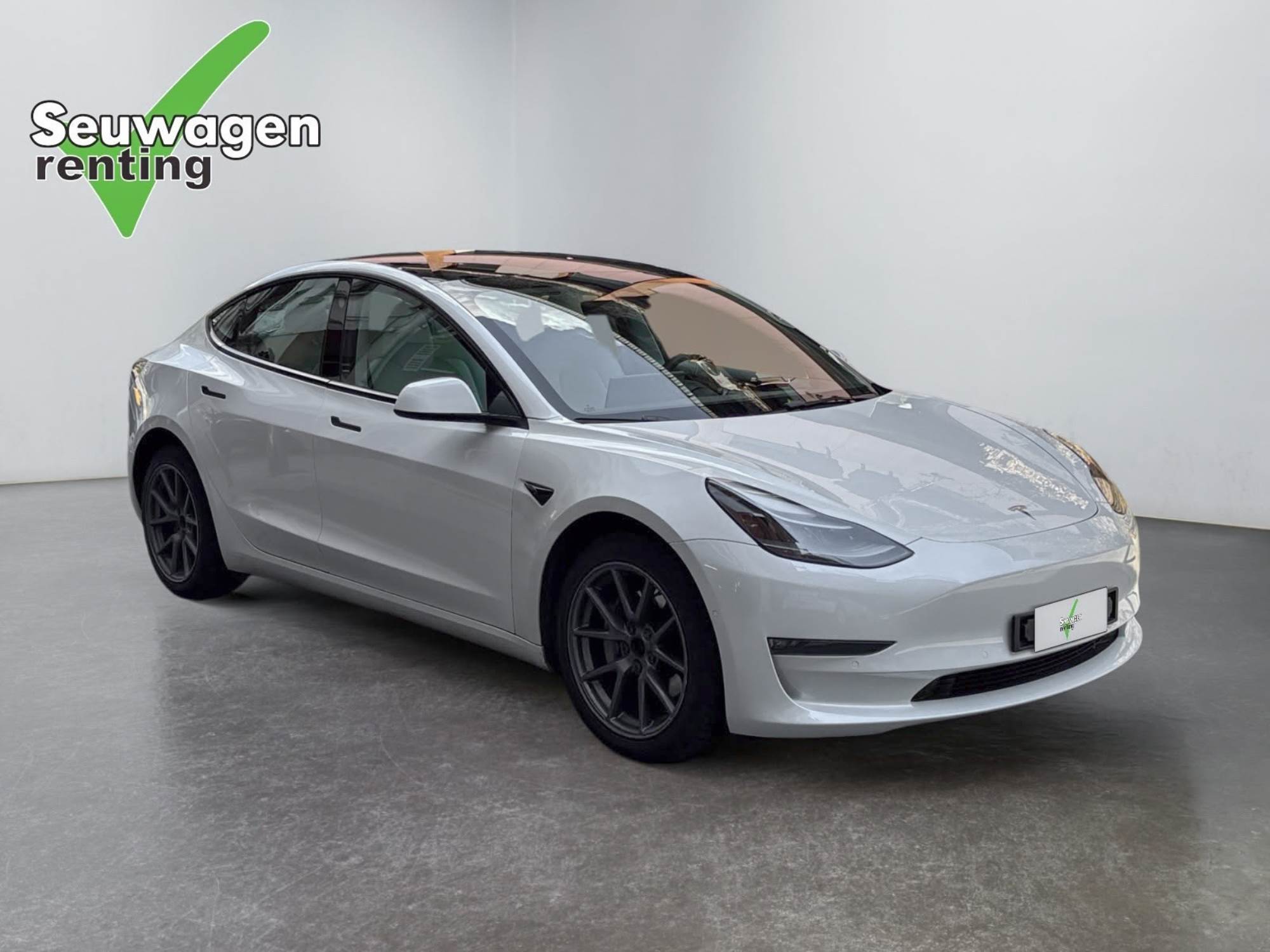 Tesla Model 3 Dual Motor Long Range
