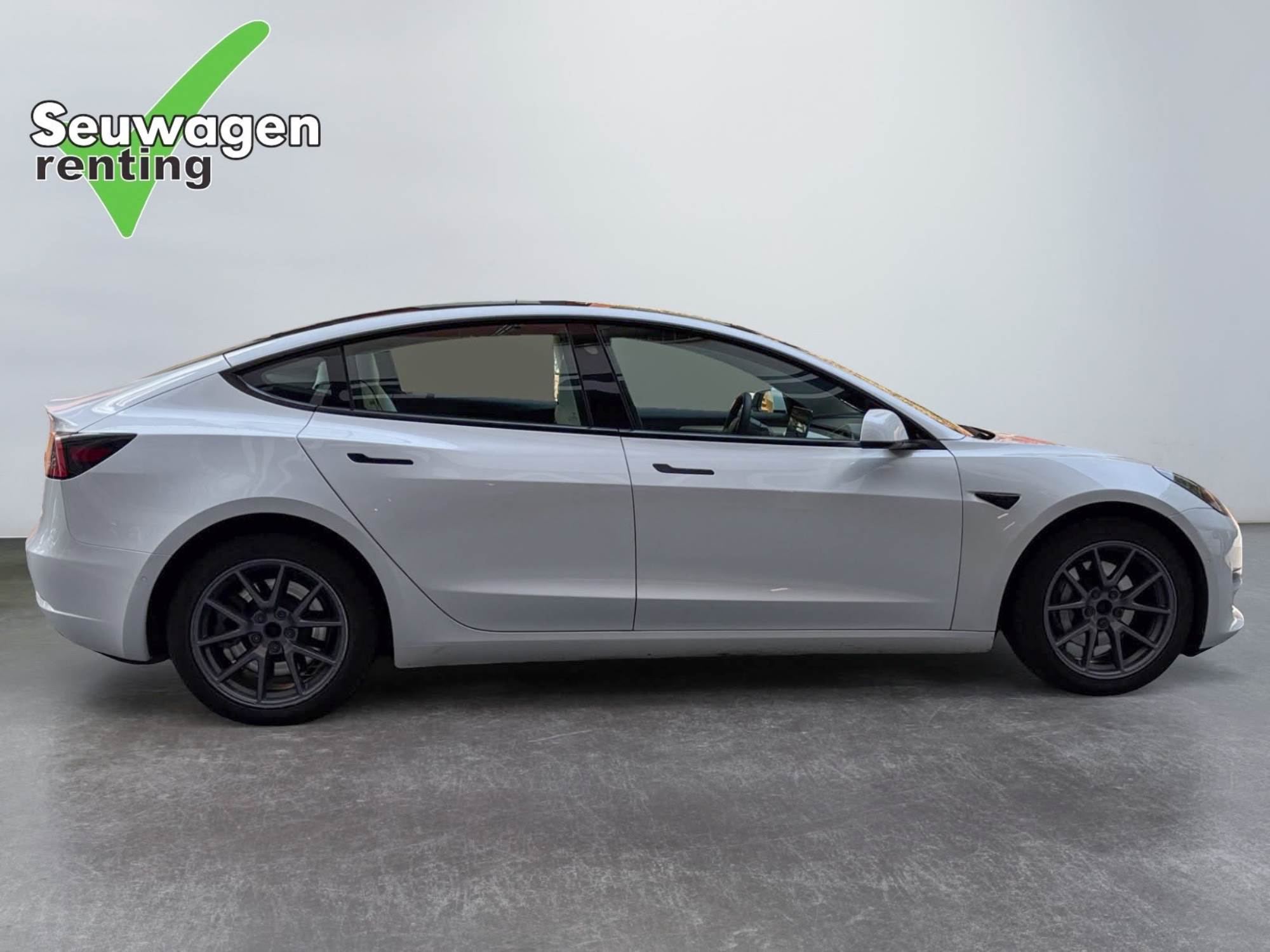 Tesla Model 3 Dual Motor Long Range
