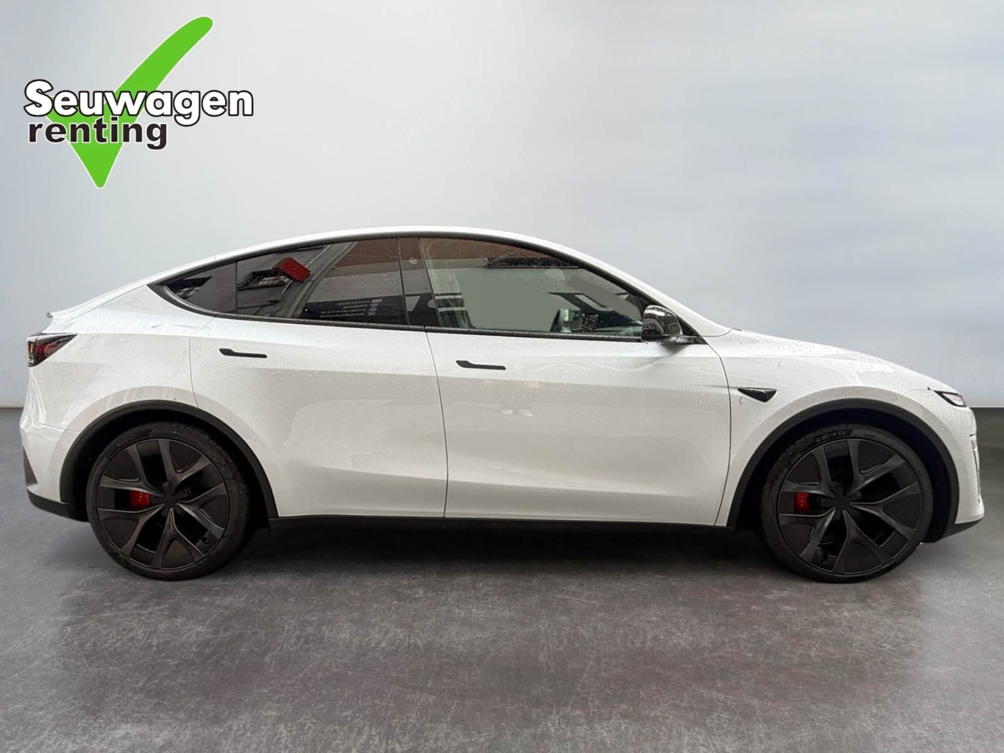 Tesla Model Y Performance 
