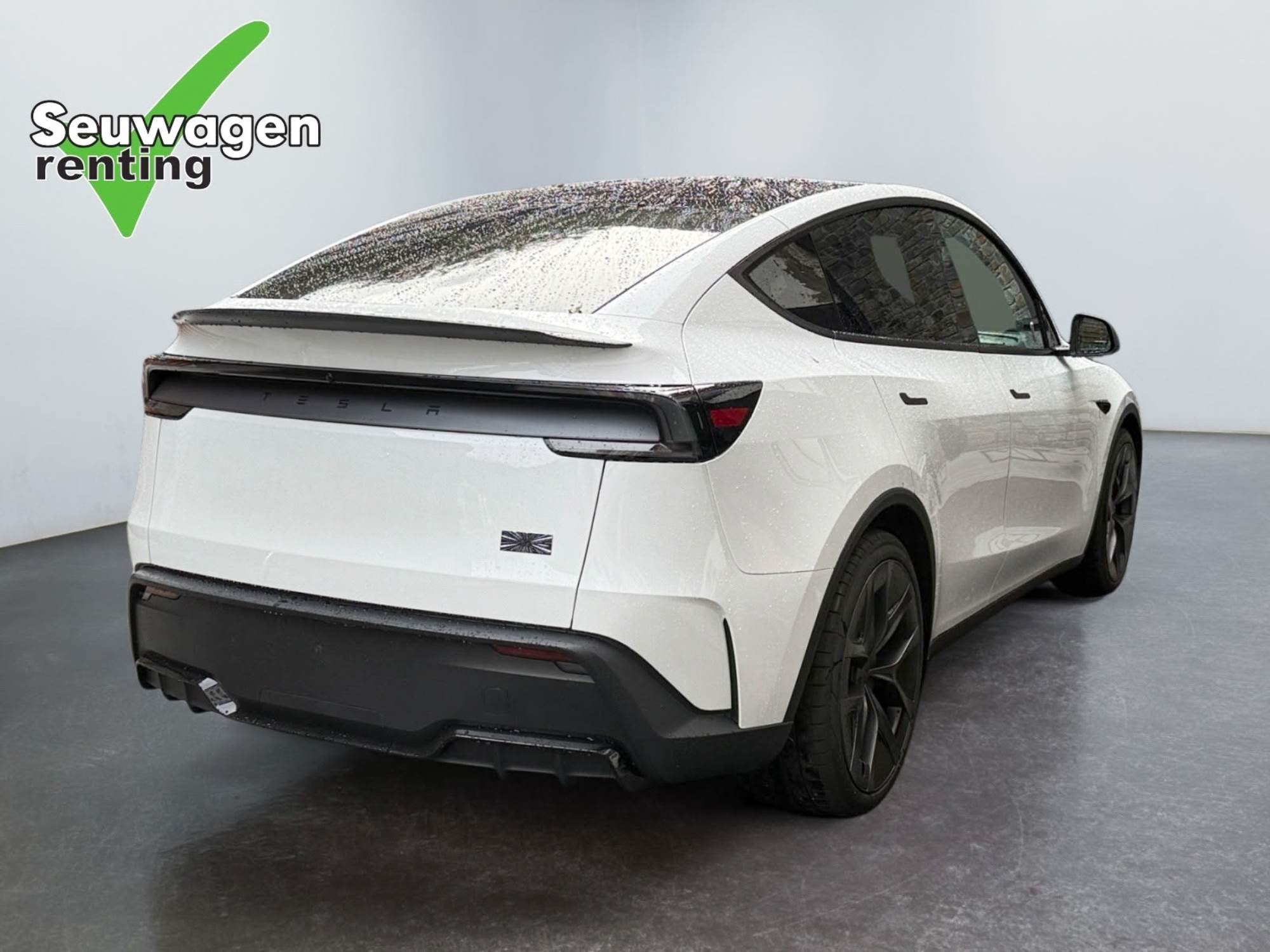 Tesla Model Y Performance 