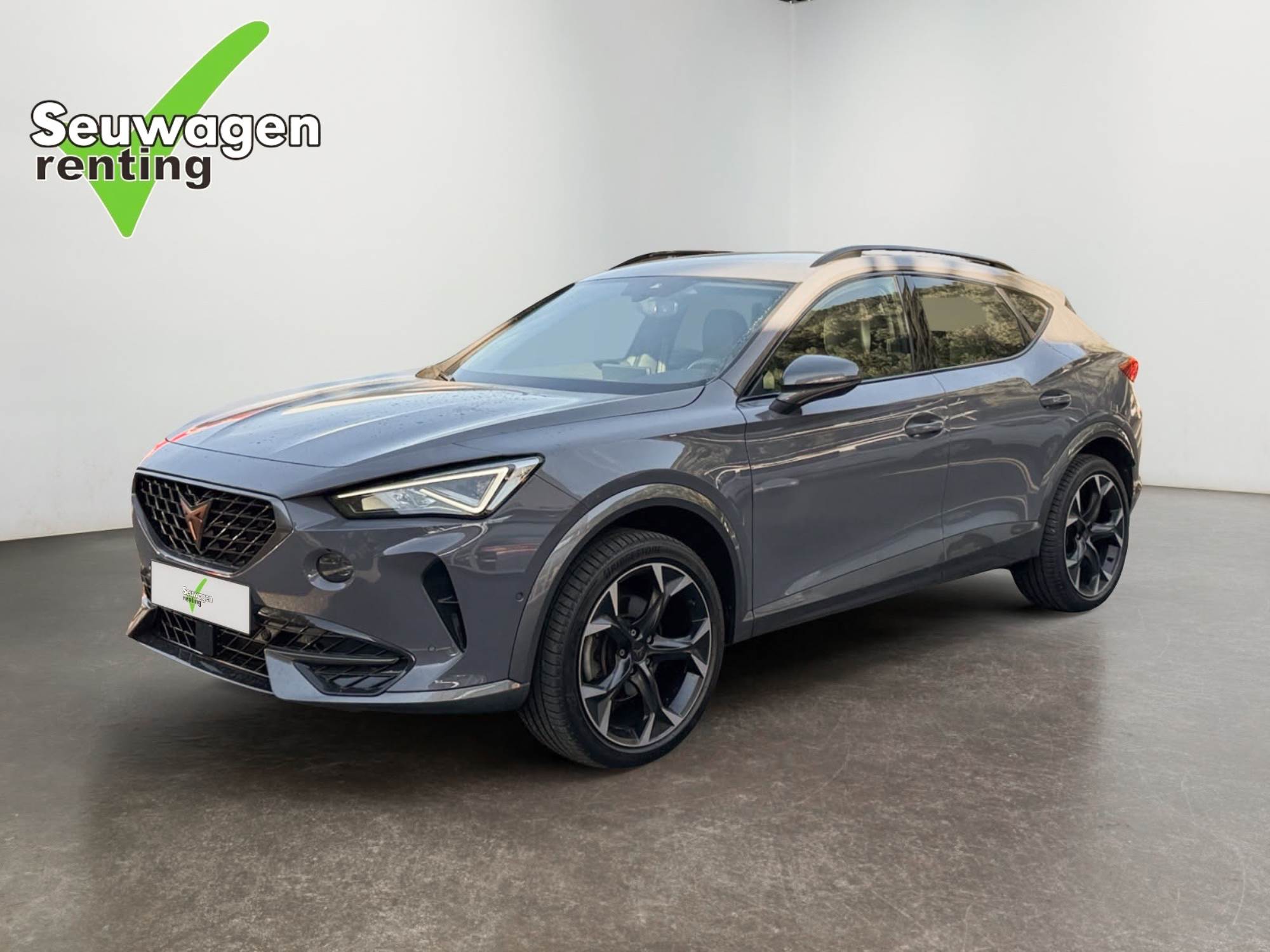 Cupra Formentor 2.0 TSI 4Drive